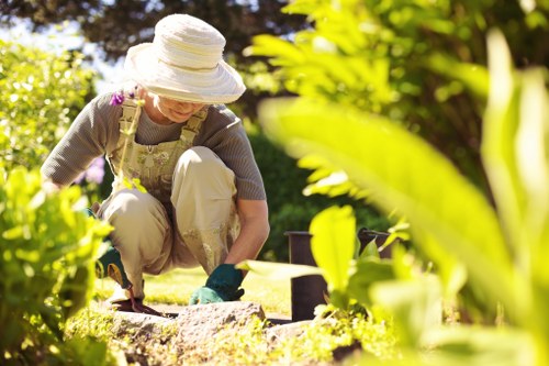 Trimmer shaping a hedge in a suburban Abbey Wood garden