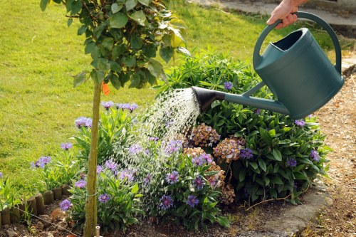 A close-up view of a garden border with vibrant purple and brown flowering plants, alongside a young green shrub. A hand is seen watering the plants with a dark green watering can, pouring water over the foliage. The garden has a neat, established appearance with a small section of soil visible among the plants and a cut grass lawn in the background. A small, healthy tree with green leaves is positioned near the flower bed, which is edged with a wooden border. The scene is well-lit with natural daylight, indicating a clear, bright day. This outdoor space is part of a residential garden in Abbey Wood, featuring well-maintained plant beds that reflect professional gardening and landscaping care, suitable for a range of gardening services offered by companies such as Hedge Trimming Abbey Wood.