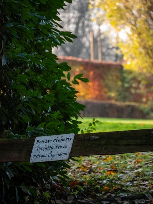 A garden scene featuring a neatly trimmed hedge along a pathway at Abbey Wood station verge, with vibrant green foliage showing signs of recent pruning by Abbeywood gardeners for tidy landscaping work