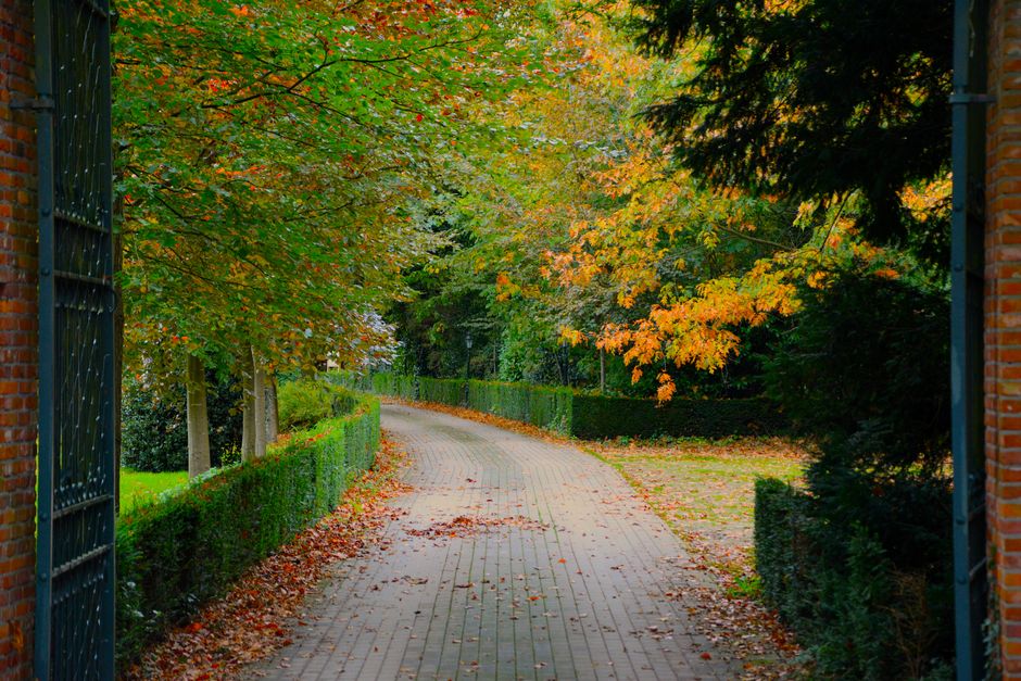 A winding garden pathway paved with light-colored bricks, bordered by neatly trimmed green hedges on both sides. Overhanging deciduous trees display autumn foliage with leaves in shades of green, yell